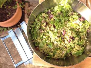 14614513_10154432309251422_699254454_o